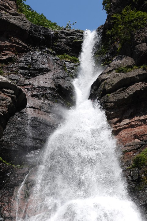 Scenics