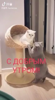 Good morning my friends ❤️