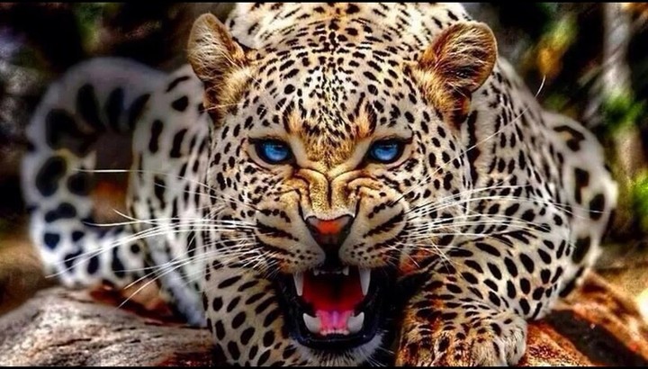 Happy
