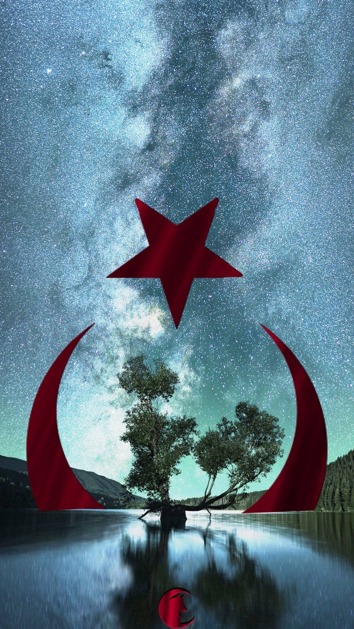 #türk #wolf #ayyıldız