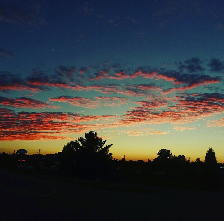 Evening Beauty