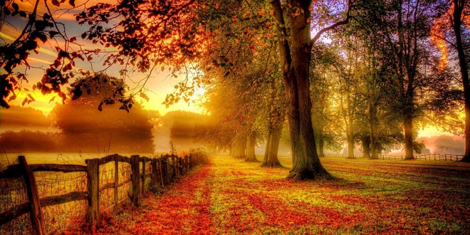 nature