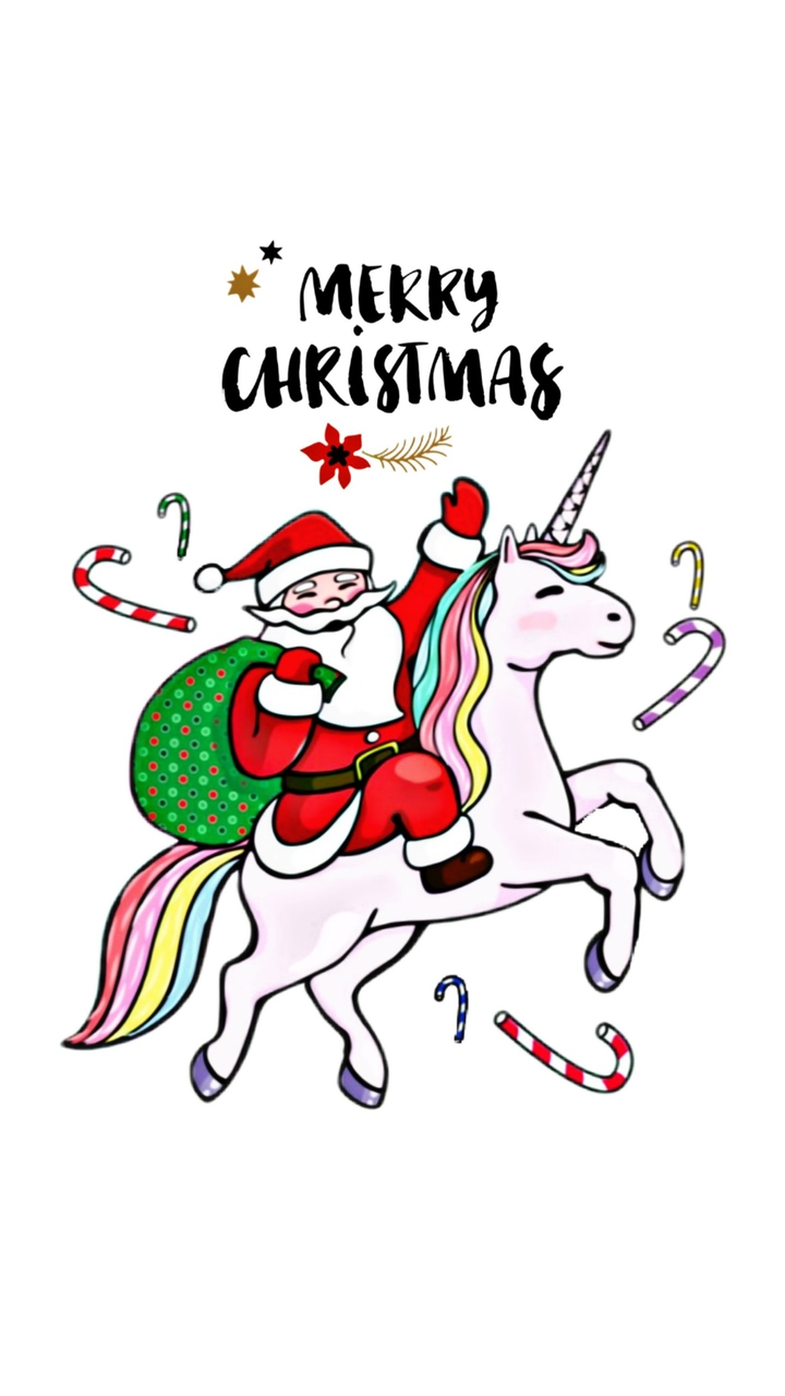 Merry Christmas (๑^ں^๑)