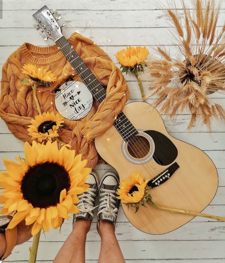 Guitar