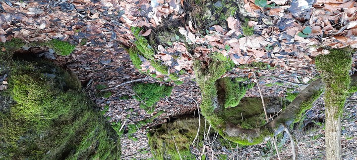 Teufelsküche im Günztal im Allgäu