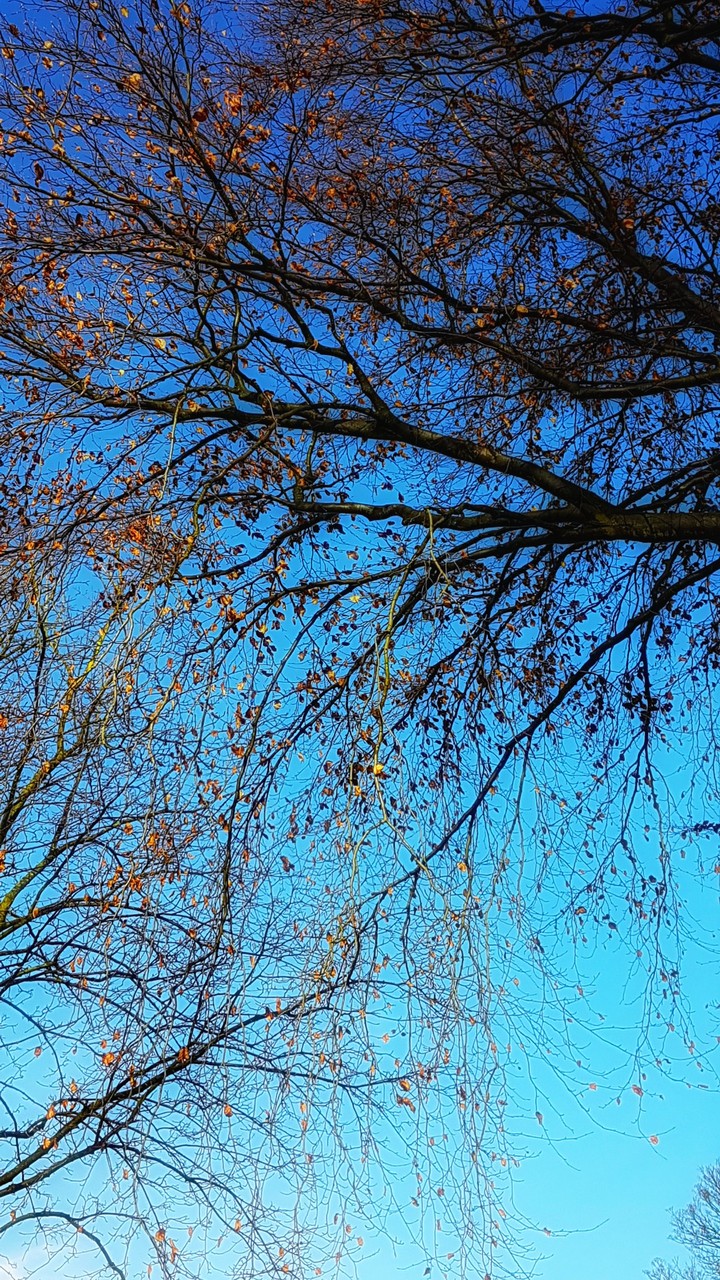 Blue sky