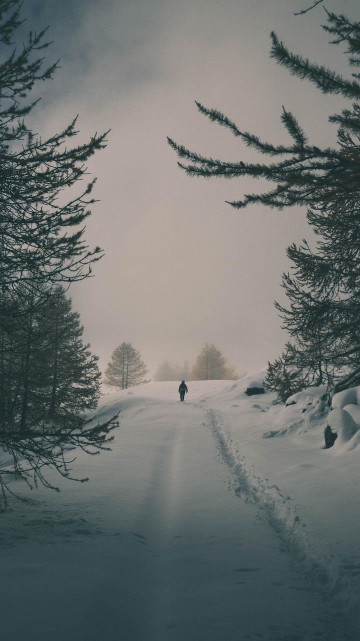 alone