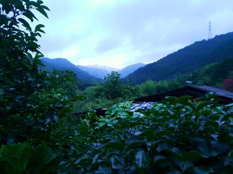 mountain