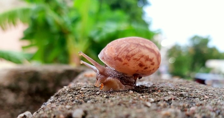 Little cute things