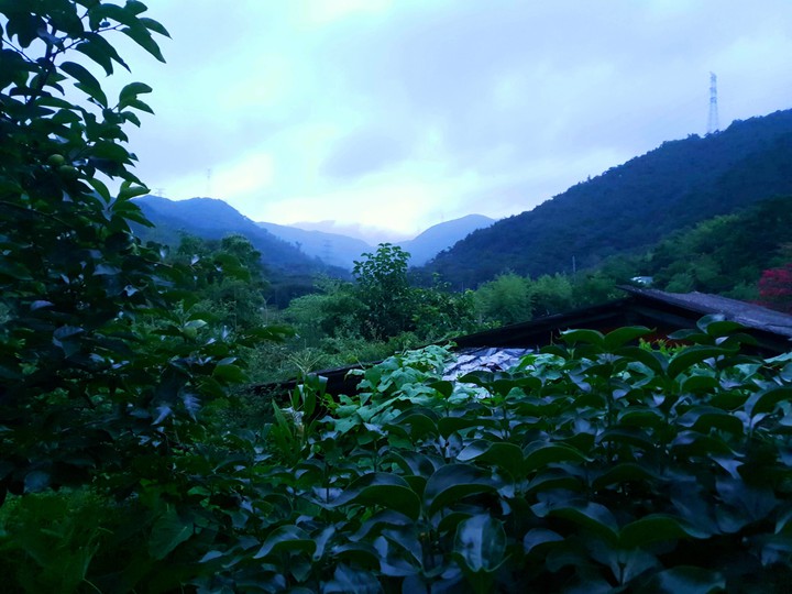 mountain