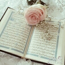 حياتي