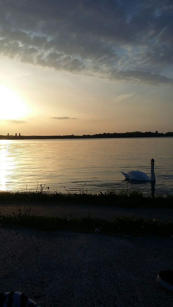 lake