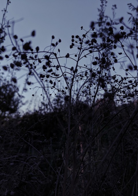 abstract