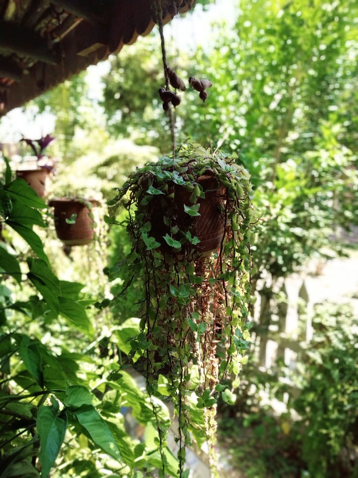 Beauty of Nature