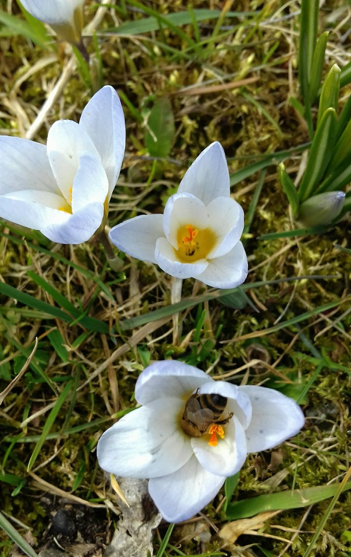 Kurzer Besuch