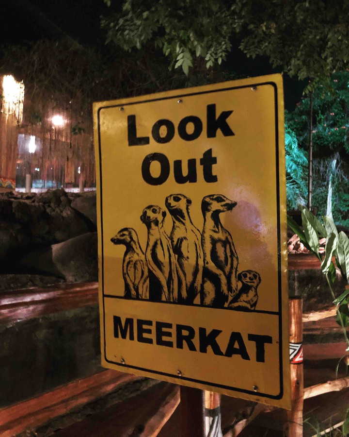 look out