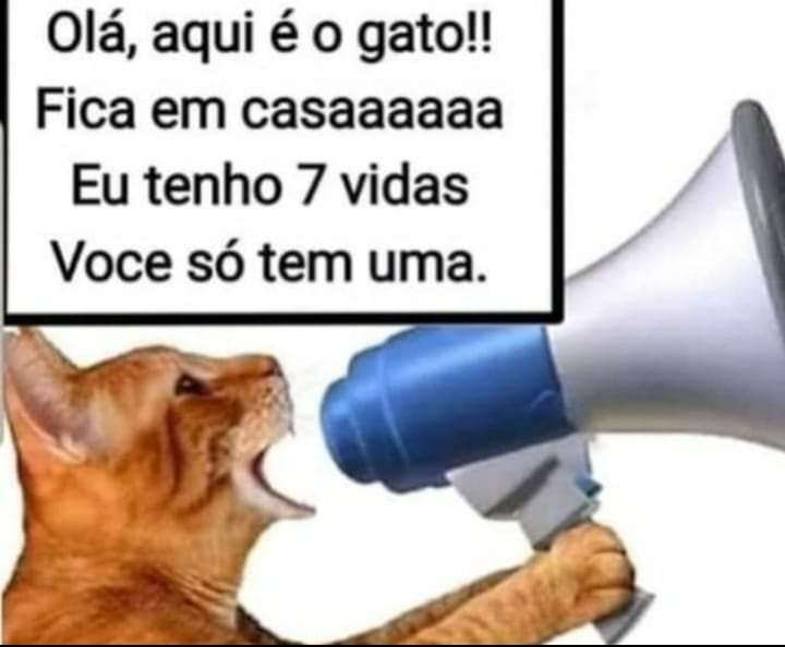 Para todos vocês curtirem.