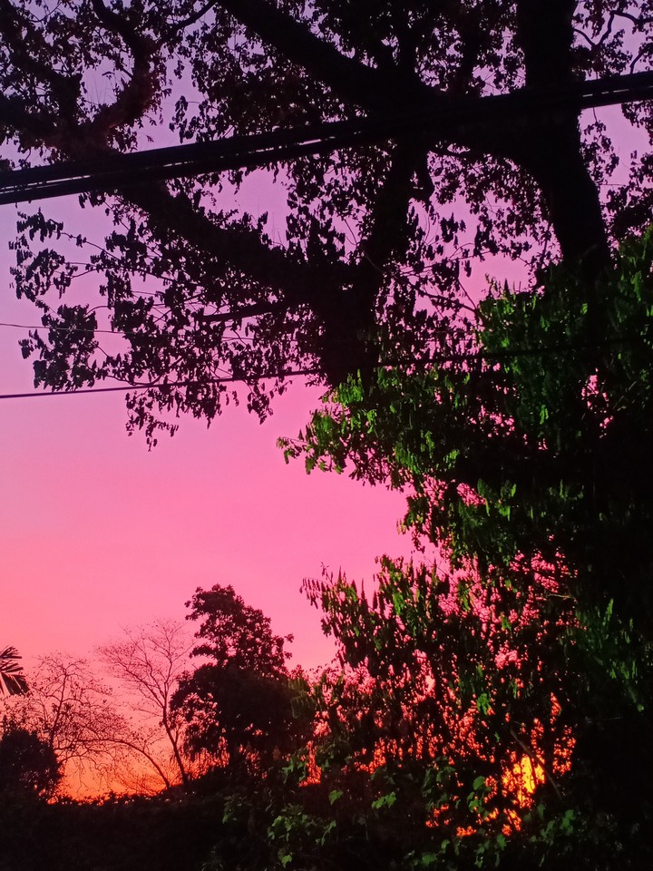 pink sunset