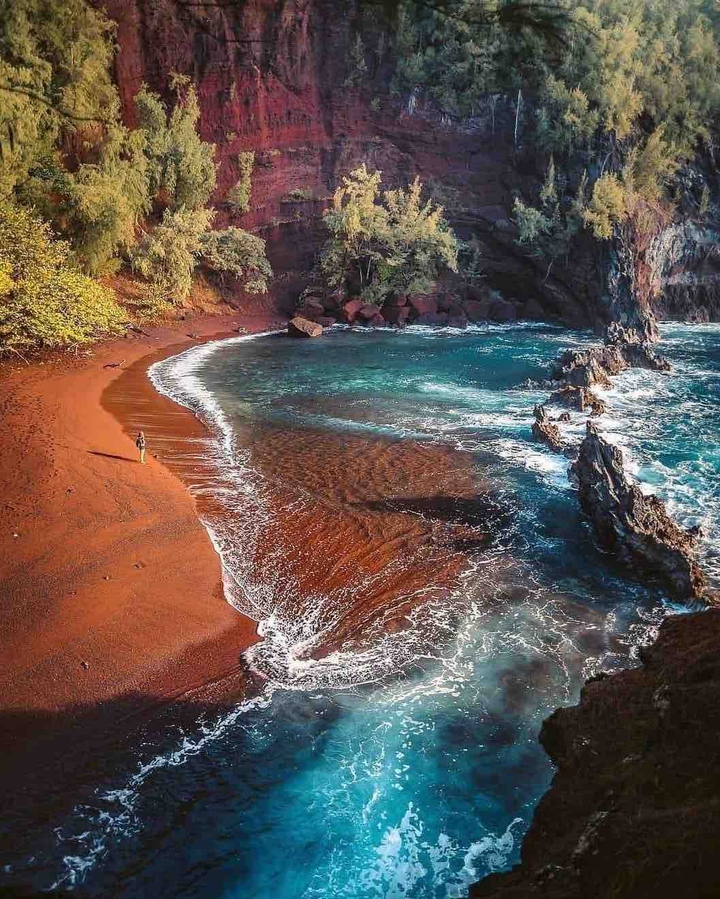 paradise