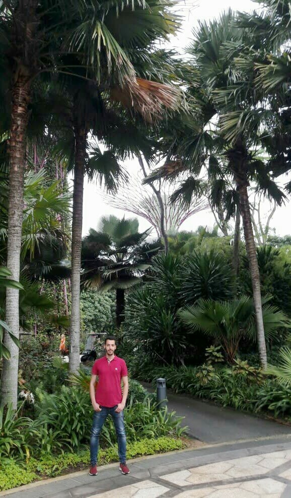 STAMATIOS