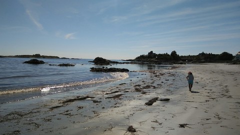 Walking on the beach