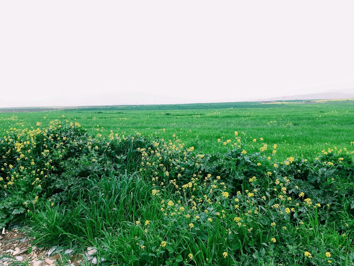 Iran Spring