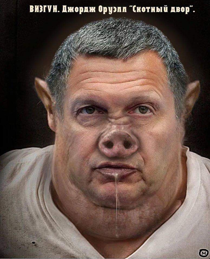 pig