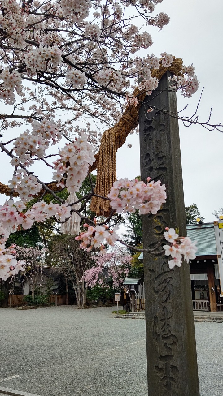 お伊勢さん