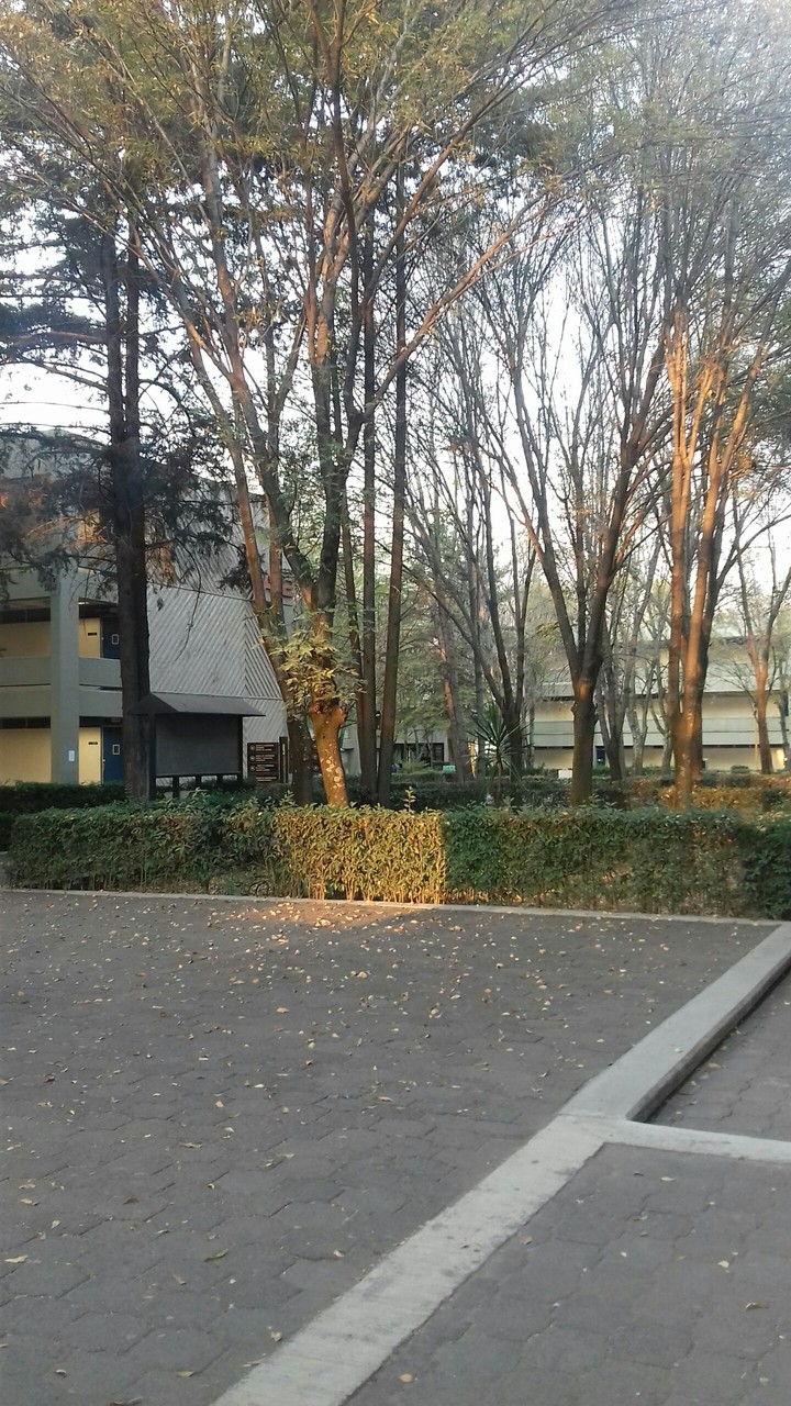 parck