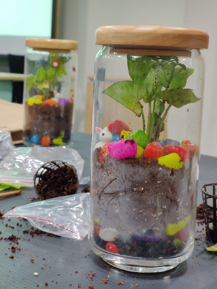 Terrarium
