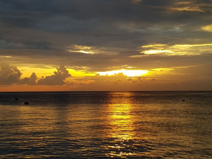 golden sea