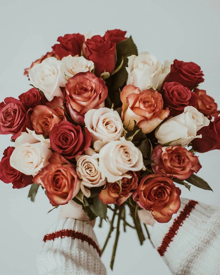Roses ❤