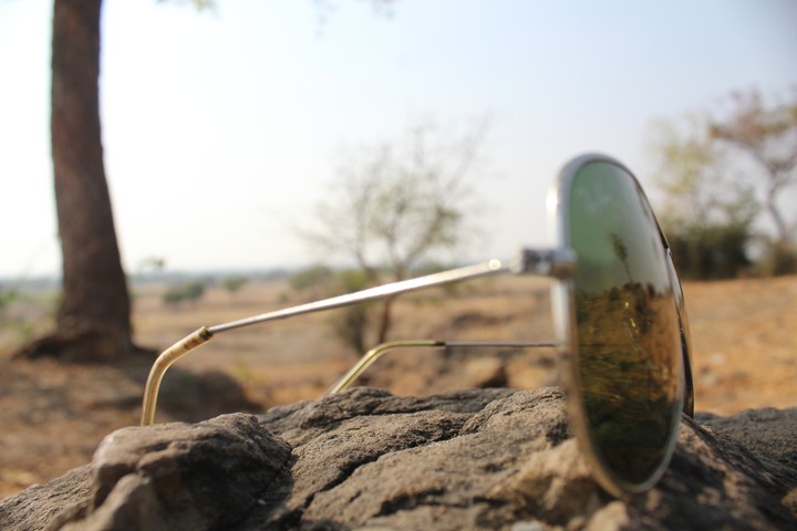 sunglass