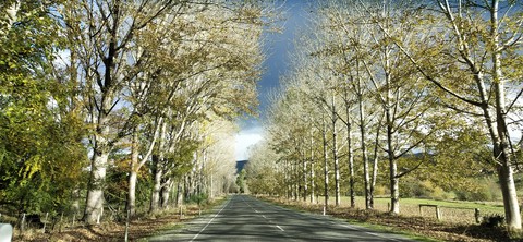 road