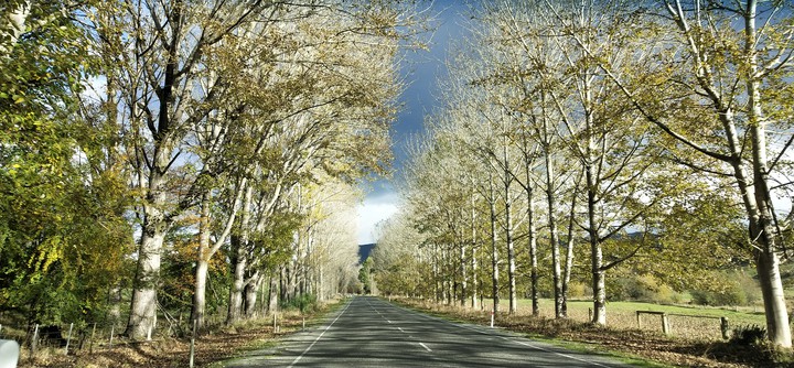 road