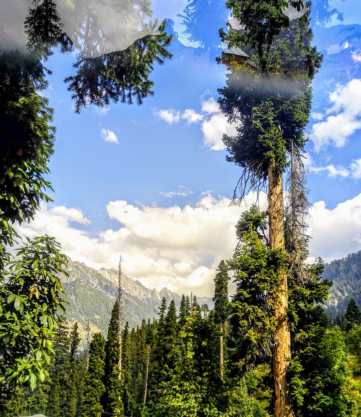 nature