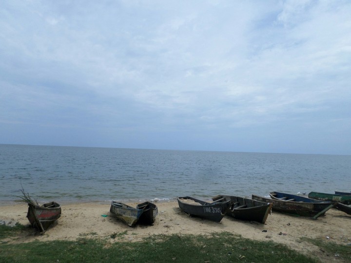 Fishing boats along the shores of Lake Victoria