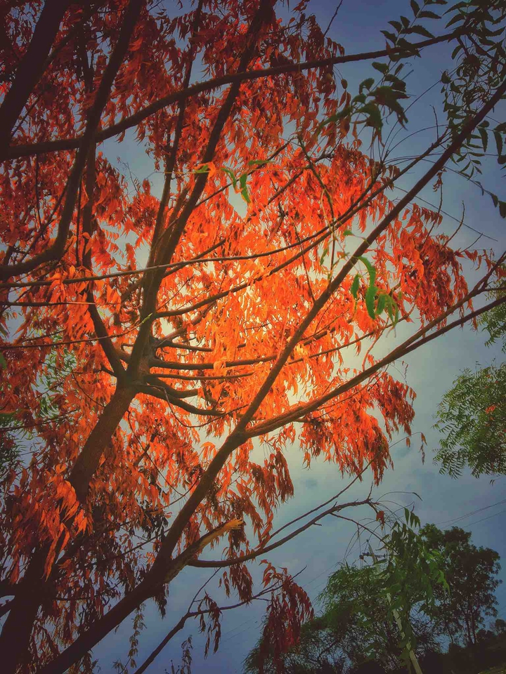 hidden