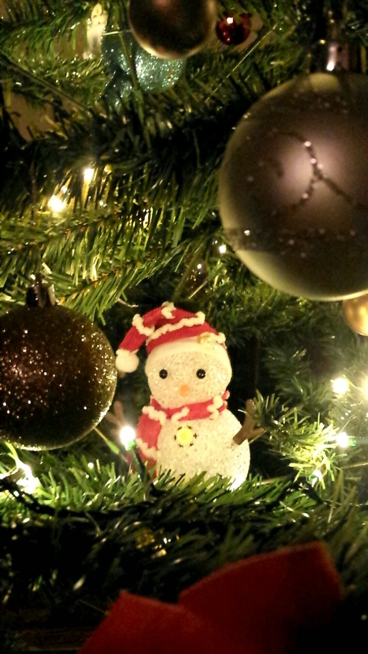 Buddy lost in tree