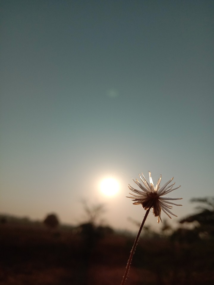beauty