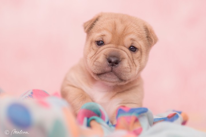 cutie