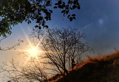 Sunshine