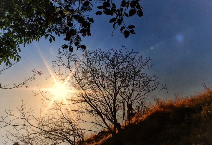 Sunshine