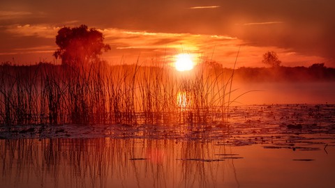 sunset