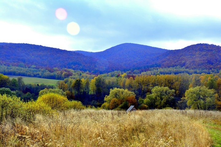 Autumn