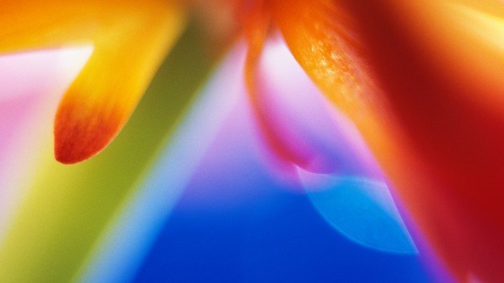 colors