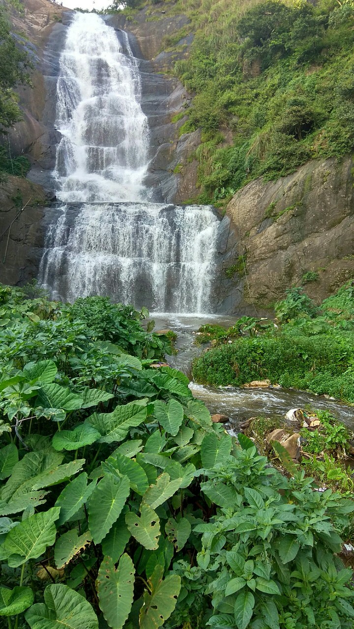 silver Cascade fall