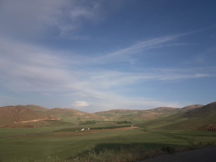 nature