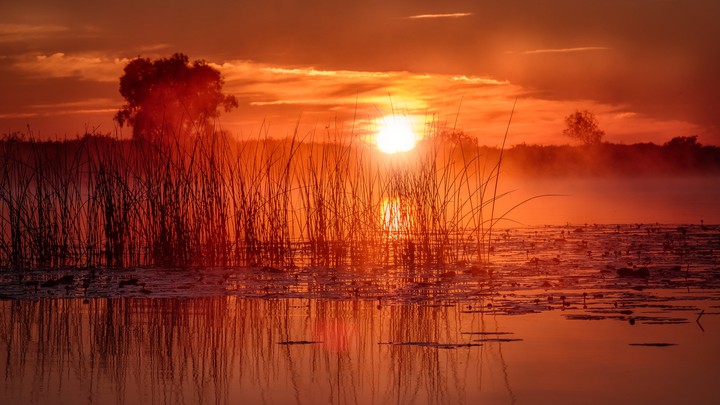 sunset