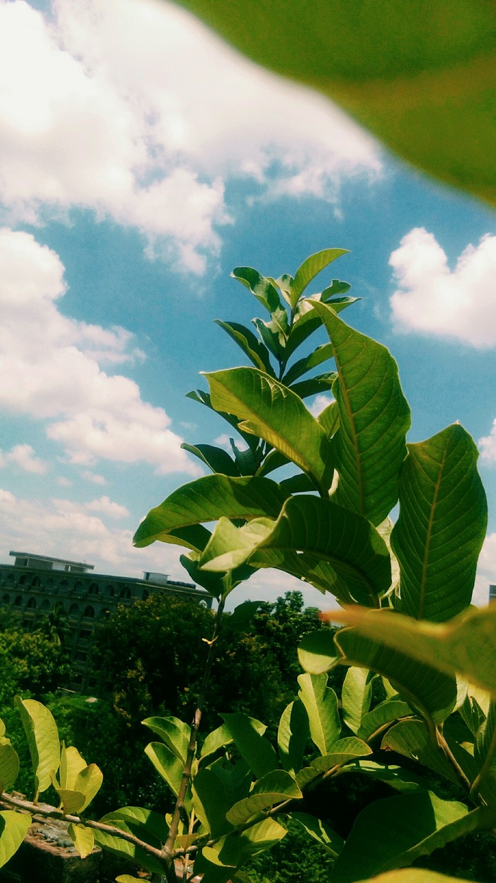sky